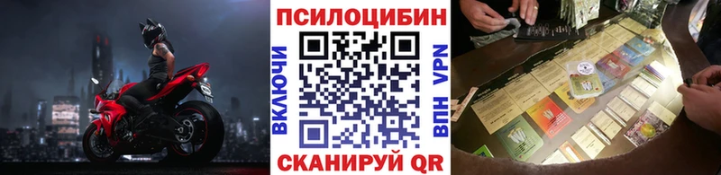 дарнет шоп  Карачев  Галлюциногенные грибы мухоморы 